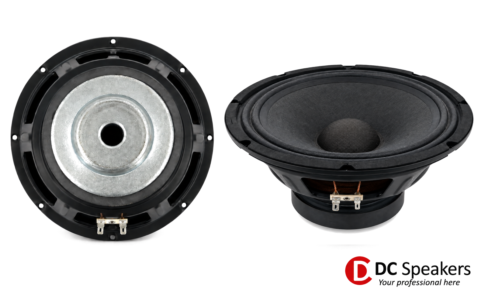 10 inch LF 6 Ω